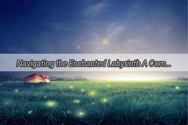 Navigating the Enchanted Labyrinth A Comprehensive Guide to the Lost Dream Lane Adventure